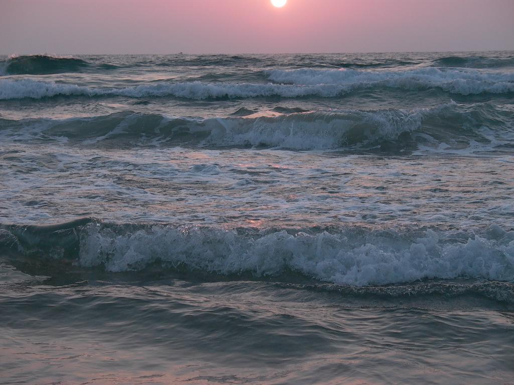 Olga Beach Apartments Hayfa Dış mekan fotoğraf